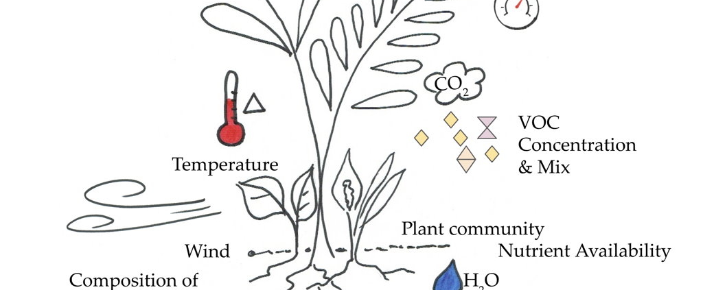 VOC Transformation Elements