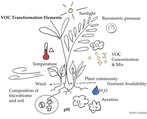 VOC Transformation Elements