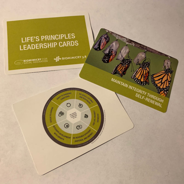 Life's Principles Leadership Cards