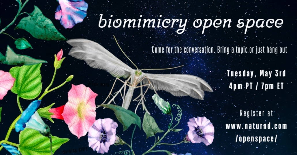 May 3 biomimicry open space