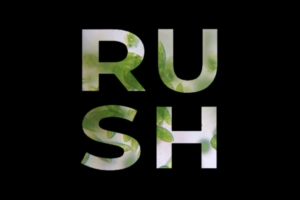 RUSH - Resilient Urban Systems & Habitats - Logo