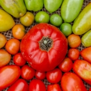 Nature in Design - Farm to Table - Organic Home Grown Tomatoes