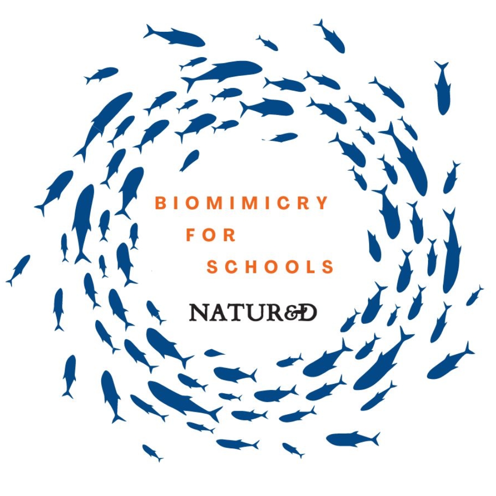 NatuR&D Biomimicry for Schools - digital badge