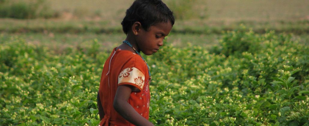 young girl in jasmine field