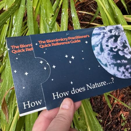 The Biomimicry Practitioner's Quick Reference Guide
